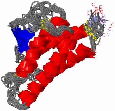 Image NMR Structure - all models