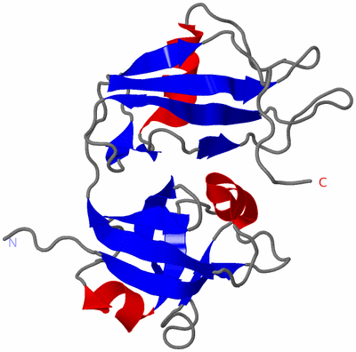 Image NMR Structure - model 1