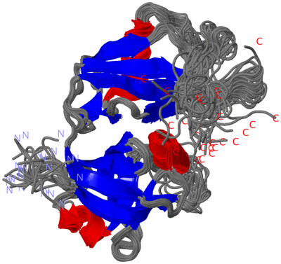 Image NMR Structure - all models