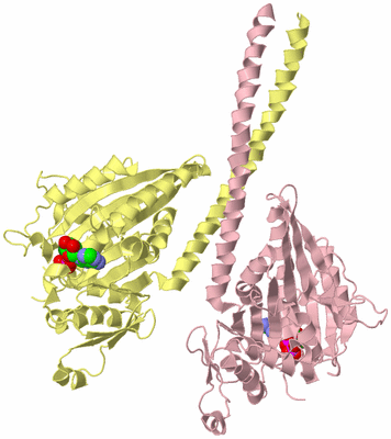 Image Biological Unit 2