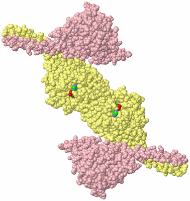 Image Biological Unit 3