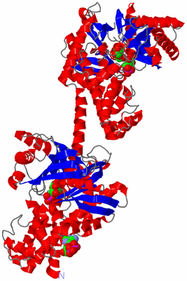 Image Asym./Biol. Unit