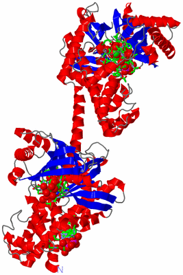 Image Asym./Biol. Unit - sites