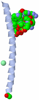 Image Asymmetric Unit