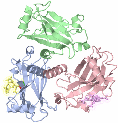 Image Asym./Biol. Unit