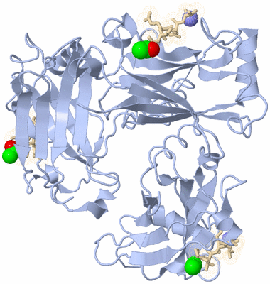 Image Biological Unit 1