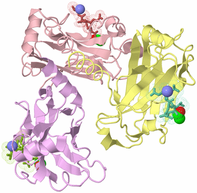 Image Biological Unit 2