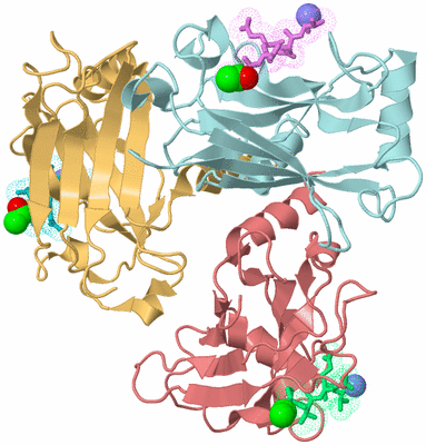 Image Biological Unit 3