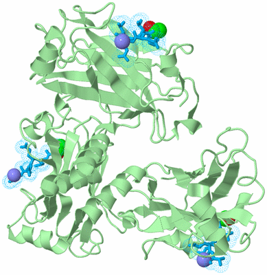 Image Biological Unit 4