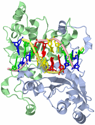 Image Asym./Biol. Unit