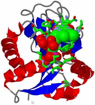 Image Asym./Biol. Unit - sites