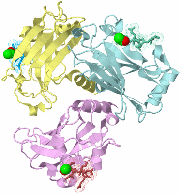 Image Biological Unit 2