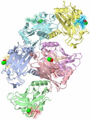 Image Biological Unit 3