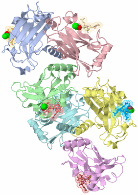 Image Biological Unit 4