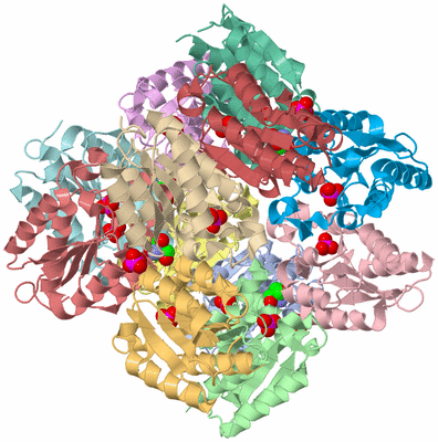 Image Asym./Biol. Unit