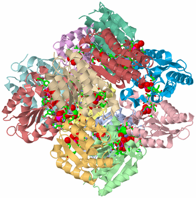 Image Asym./Biol. Unit - sites