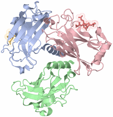 Image Biological Unit 1