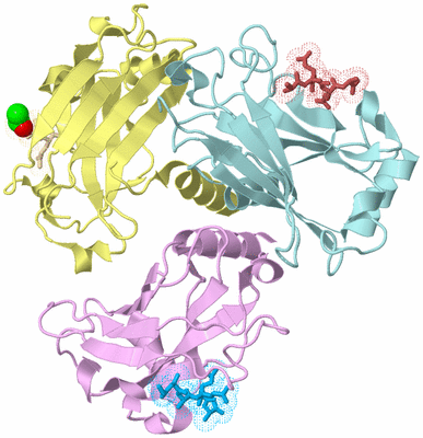 Image Biological Unit 2