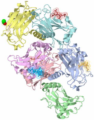 Image Biological Unit 3