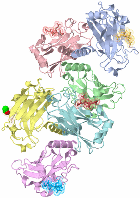 Image Biological Unit 4