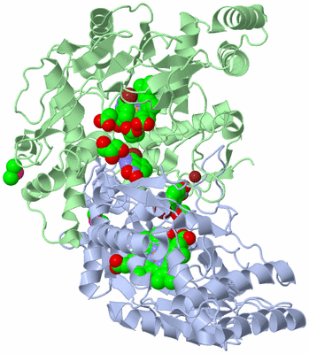 Image Asym./Biol. Unit
