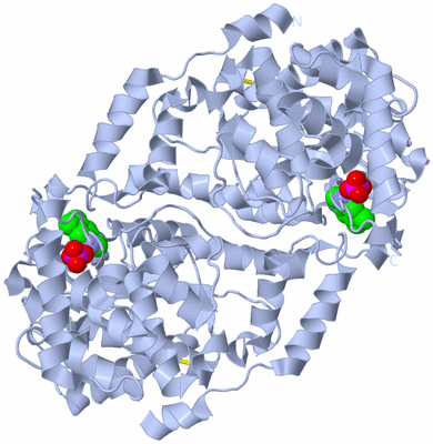 Image Biological Unit 1