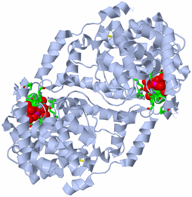 Image Biol. Unit 1 - sites