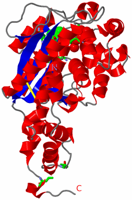 Image Asym. Unit - sites