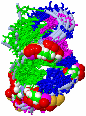 Image NMR Structure - all models