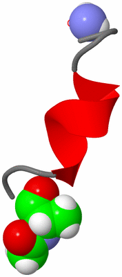 Image NMR Structure - model 1