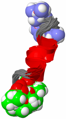 Image NMR Structure - all models