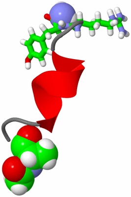 Image NMR Structure - model 1, sites