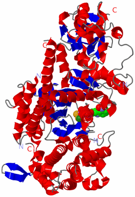 Image Asym./Biol. Unit