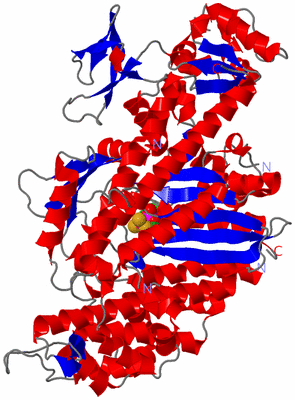 Image Asym./Biol. Unit