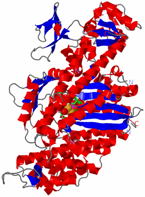 Image Asym./Biol. Unit - sites