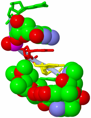 Image Asymmetric Unit