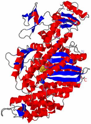 Image Asym./Biol. Unit