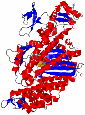 Image Asym./Biol. Unit