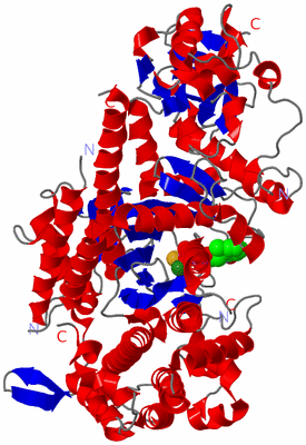 Image Asym./Biol. Unit