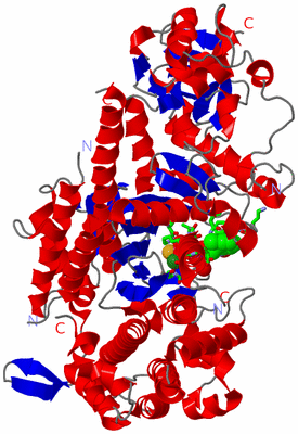 Image Asym./Biol. Unit - sites