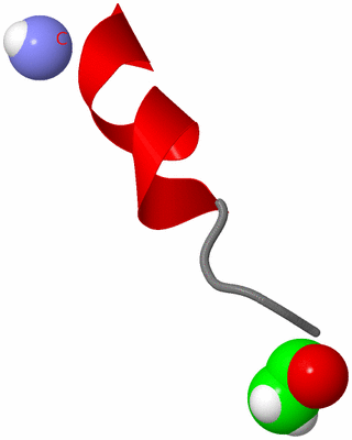 Image NMR Structure - model 1