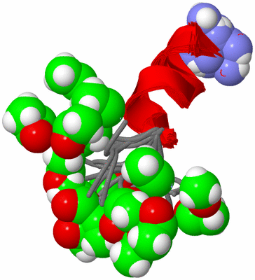 Image NMR Structure - all models