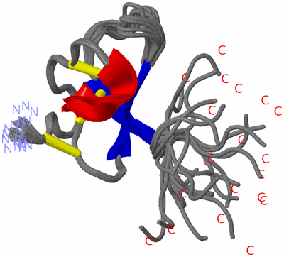 Image NMR Structure - all models