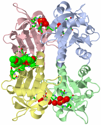 Image Asym./Biol. Unit - sites