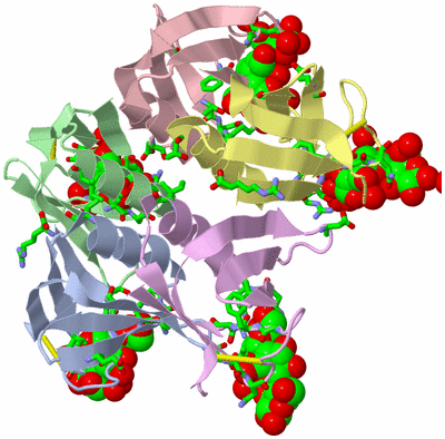 Image Asym./Biol. Unit - sites