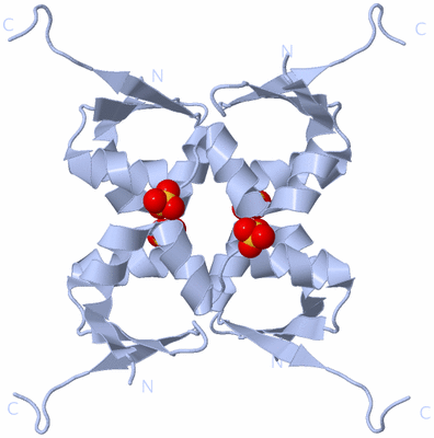 Image Biological Unit 2