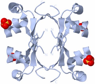 Image Biological Unit 3