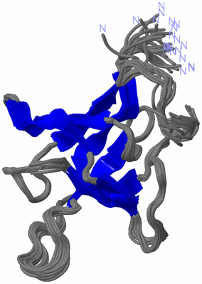 Image NMR Structure - all models