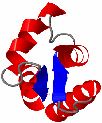 Image NMR Structure - model 1