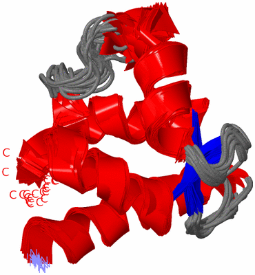 Image NMR Structure - all models